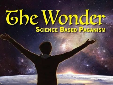 Check Out THE WONDER!