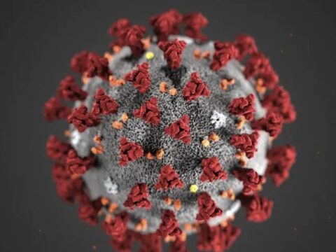 Love in the Time of the Coronavirus