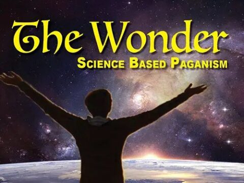 Check Out THE WONDER!