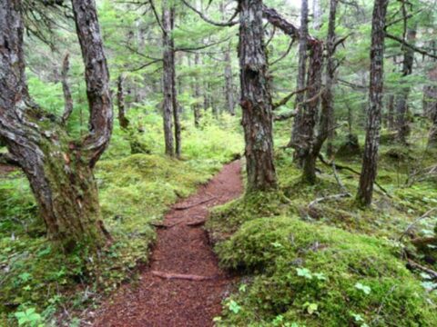 Pilgrimage Hiking