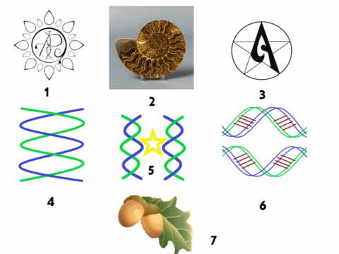 Atheopagan Symbol Contest