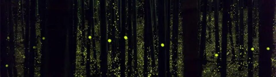 Why Pagan Temples? A Not-Very-Good Reason.