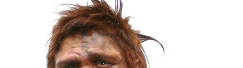 Ancestors: A Conundrum