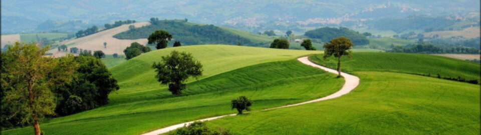 The State of the Path: Atheopaganism in 2019