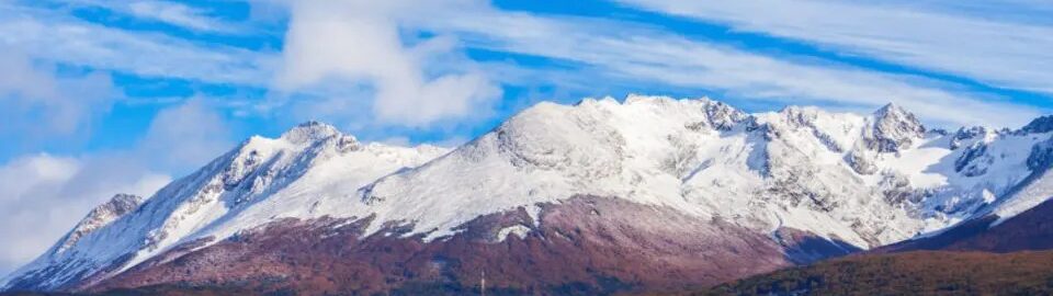 Meanwhile, Down South…