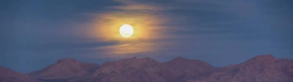 My Five Favorite Posts of 2017