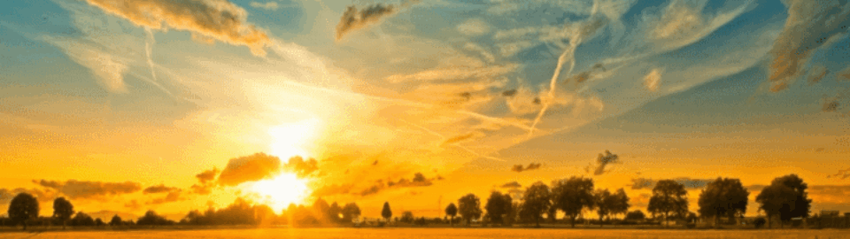 Midsummer 2023—The Height of the Light